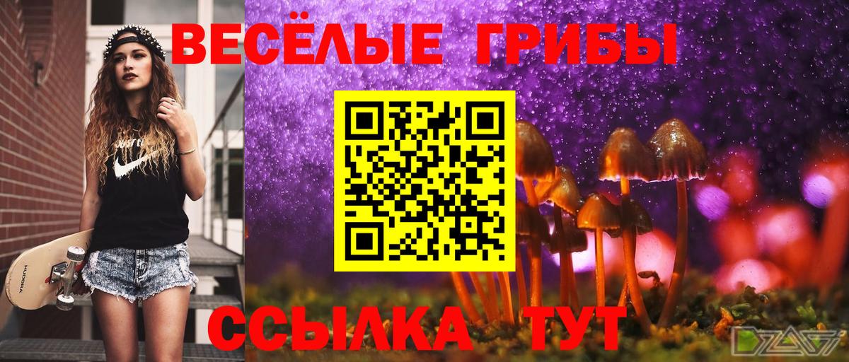 Псилоцибиновые грибы ЛСД  наркошоп  Россошь  Вход с VPN  Галлюциногенные грибы MAGIC MUSHROOMS 